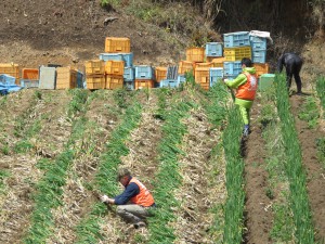 IMG_4123_original
