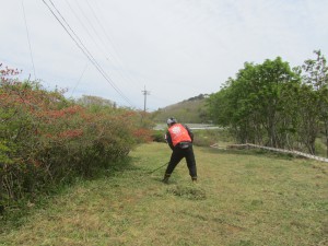 IMG_1260_original